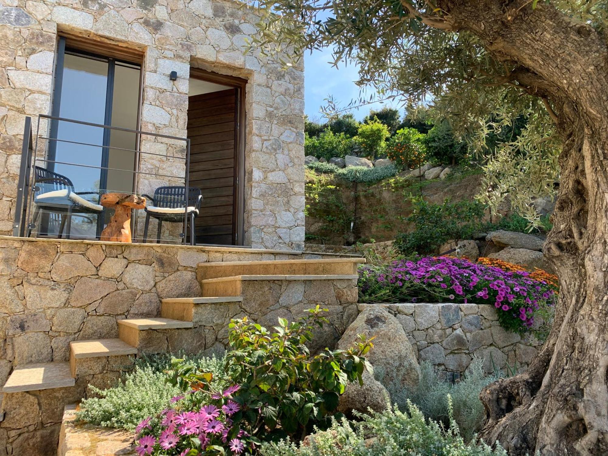 Villa Macagna Corbara Luaran gambar