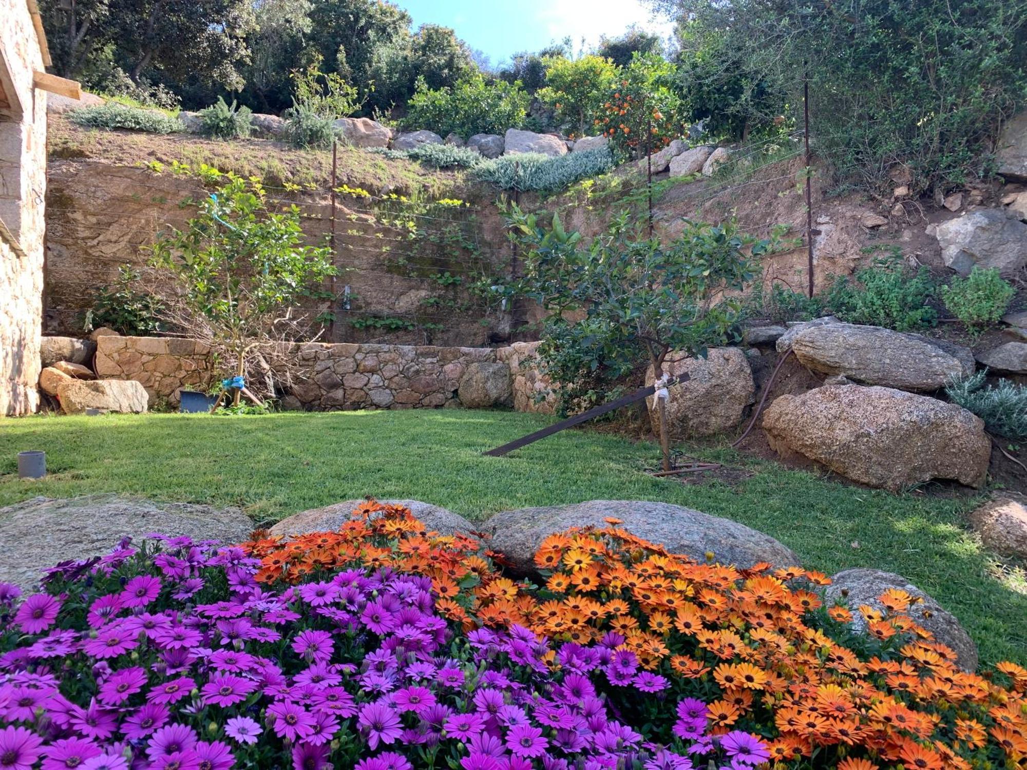 Villa Macagna Corbara Luaran gambar